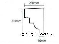 产品分解图型 - 檐口线，型号：SX311-YK-3，规格：230x310mm(3) - 白银三象EPS建材 by.sx311.cc